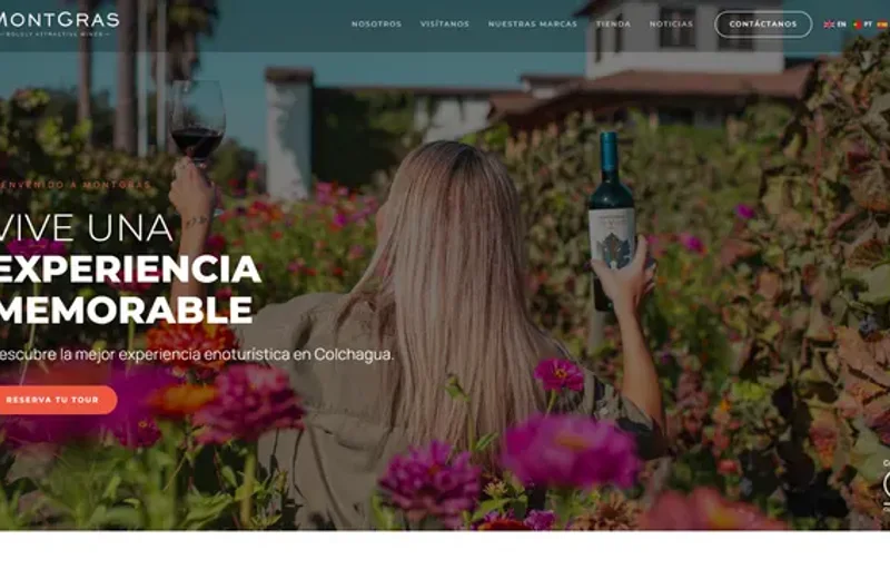 Página web de MontGras · Viña y enoturismo