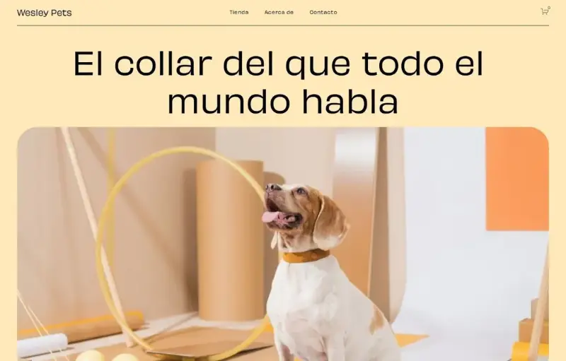 Diseño web para tienda online